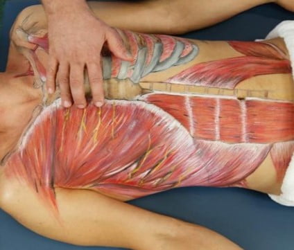 Anatomia palpacyjna z rozluźnianiem struktur mięśniowo-powięziowych